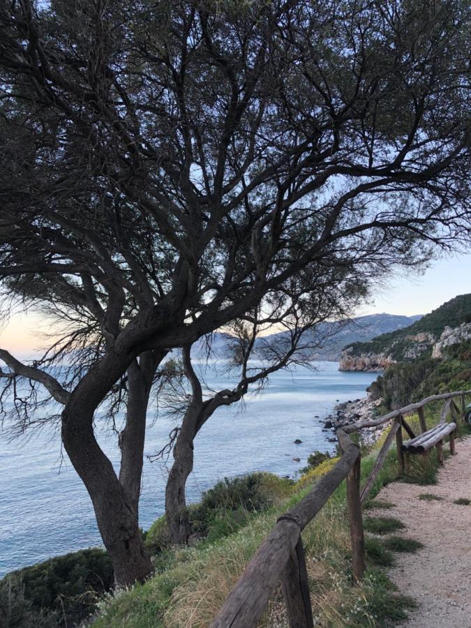 Cala Gonone, Casa I Pini 아파트 외부 사진